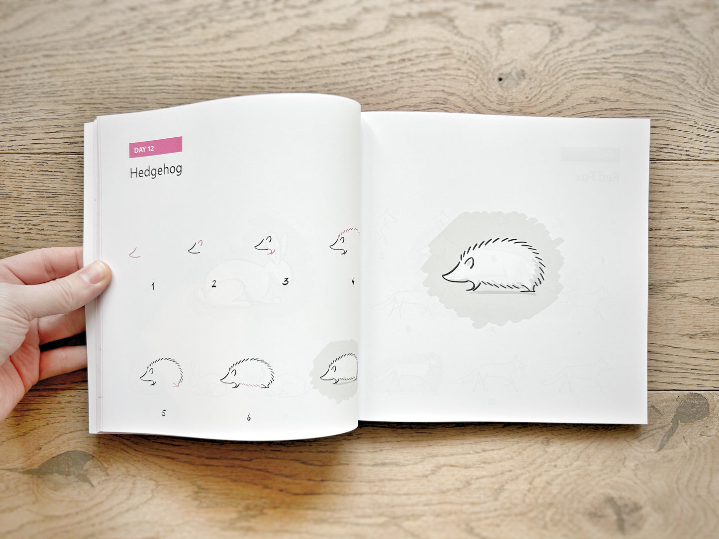 100 Animal Drawings Paperback