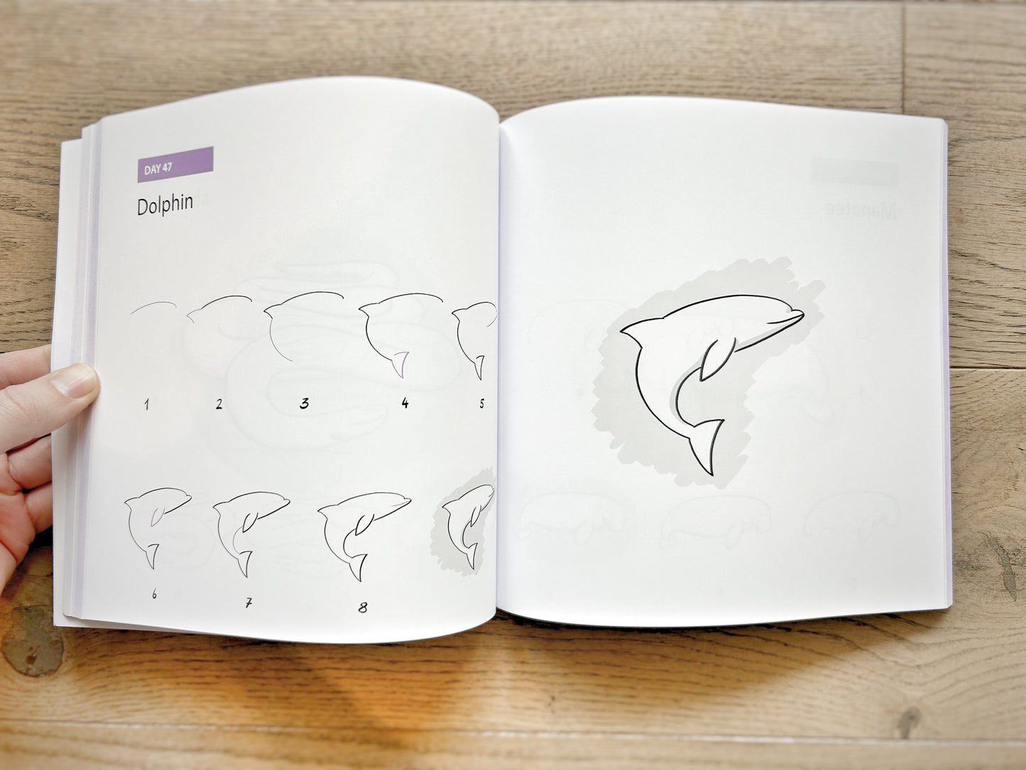 Daily Drawing Bundle Paperback