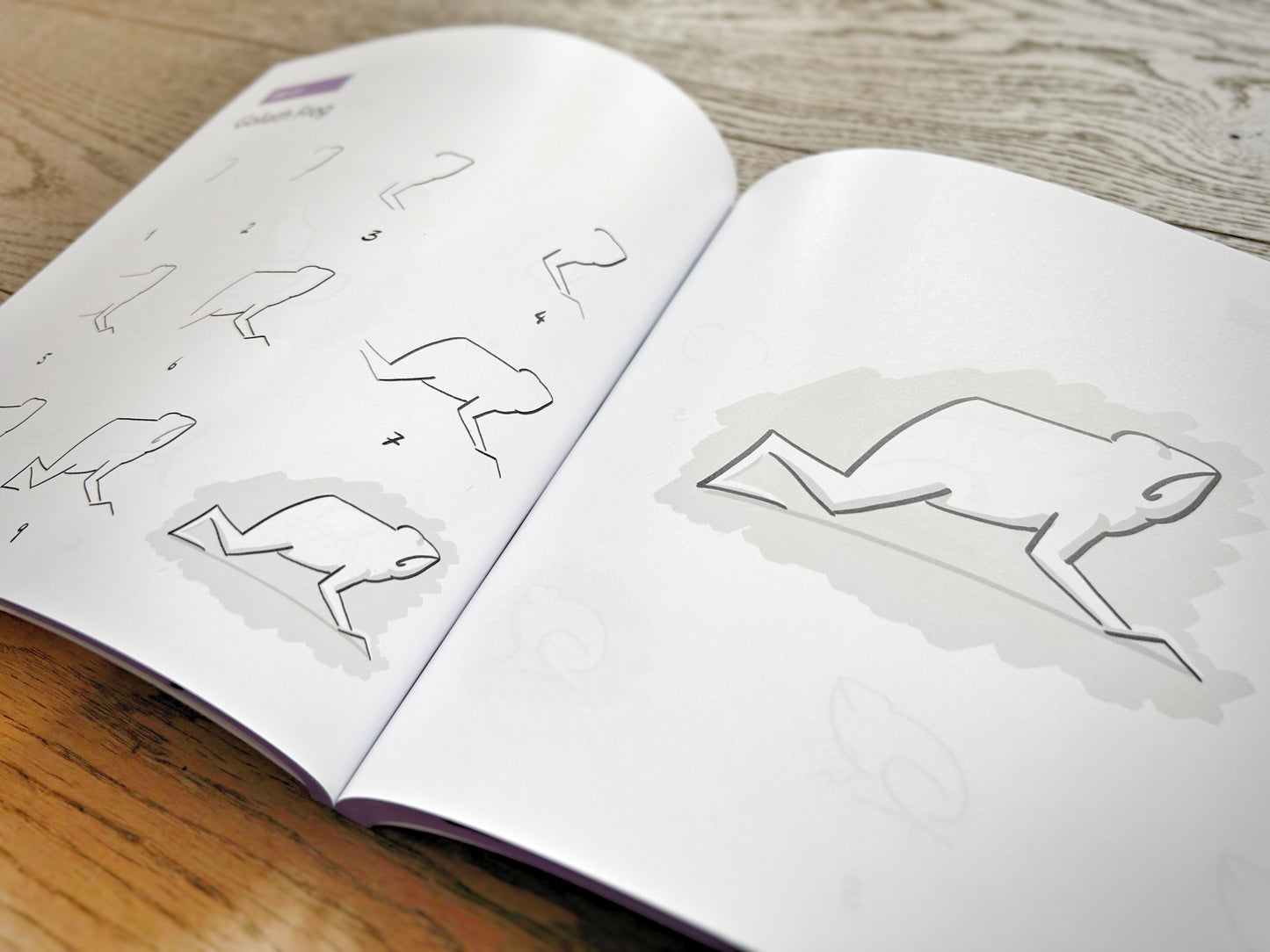 100 Animal Drawings Vol.2 Paperback