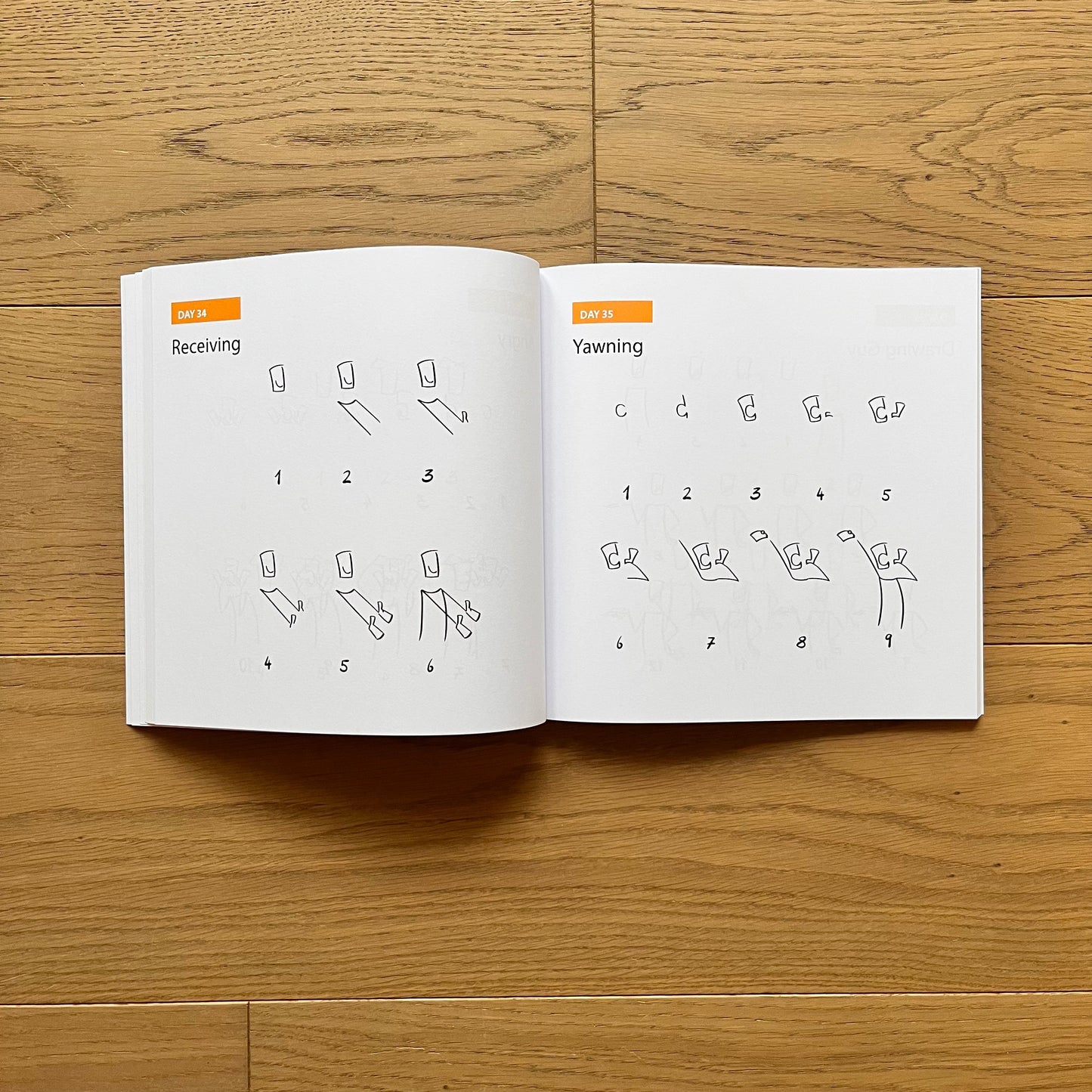 Daily Drawing Bundle Paperback