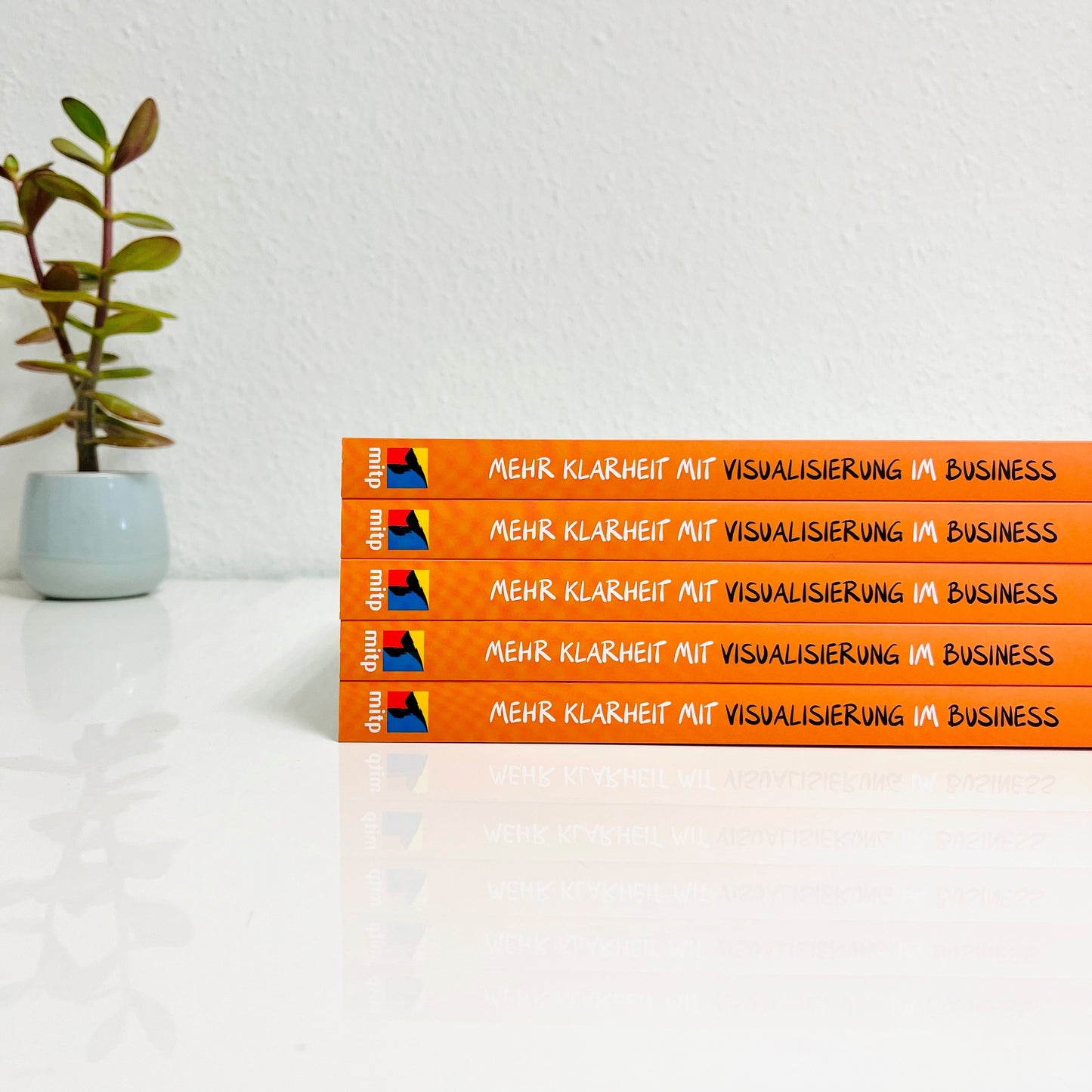 Mehr Klarheit mit Visualisierung im Business - Signiertes Exemplar