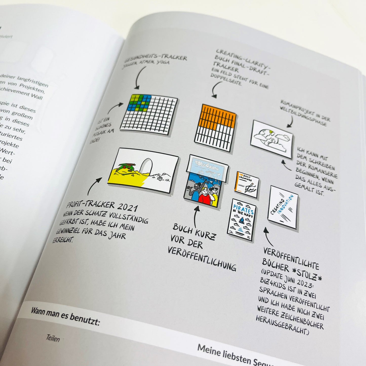 Mehr Klarheit mit Visualisierung im Business - Signiertes Exemplar